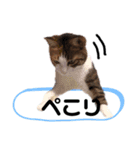 太陽,陽空,珊心ちゃん by晩ママ（個別スタンプ：14）