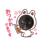 ぽぽるいす（個別スタンプ：6）