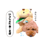 ぽぽるいす（個別スタンプ：10）