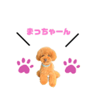 ぽぽるいす（個別スタンプ：11）