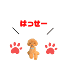 ぽぽるいす（個別スタンプ：15）