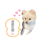 我が家の姫✿（個別スタンプ：3）