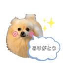 我が家の姫✿（個別スタンプ：5）