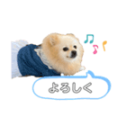 我が家の姫✿（個別スタンプ：6）