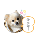 我が家の姫✿（個別スタンプ：7）