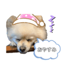 我が家の姫✿（個別スタンプ：8）