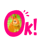 うさぎ 〜オリジナルスタンプ〜 YUTA（個別スタンプ：3）