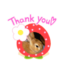 うさぎ 〜オリジナルスタンプ〜 YUTA（個別スタンプ：6）