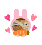 うさぎ 〜オリジナルスタンプ〜 YUTA（個別スタンプ：8）
