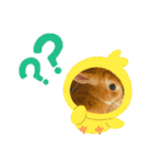 うさぎ 〜オリジナルスタンプ〜 YUTA（個別スタンプ：10）