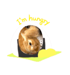 うさぎ 〜オリジナルスタンプ〜 YUTA（個別スタンプ：11）