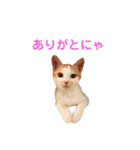 ぶらちま（個別スタンプ：2）