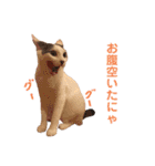 ぶらちま（個別スタンプ：9）
