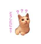 ぶらちま（個別スタンプ：10）