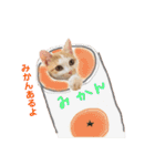 ぶらちま（個別スタンプ：12）