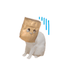 ぶらちま（個別スタンプ：31）