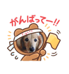 Tiffany chan（個別スタンプ：1）