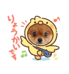 ポメりおちゃんの日常スタンプ3（個別スタンプ：3）