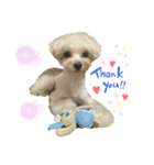 ぽんぽんすたんぷ2（個別スタンプ：1）