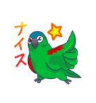 コミドリコンゴウインコの日常（個別スタンプ：2）