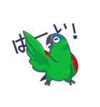 コミドリコンゴウインコの日常（個別スタンプ：3）