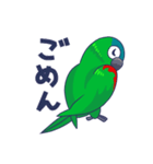 コミドリコンゴウインコの日常（個別スタンプ：16）