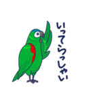 コミドリコンゴウインコの日常（個別スタンプ：23）