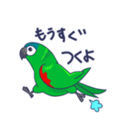 コミドリコンゴウインコの日常（個別スタンプ：25）