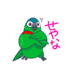 コミドリコンゴウインコの日常（個別スタンプ：30）