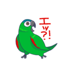 コミドリコンゴウインコの日常（個別スタンプ：31）