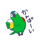 コミドリコンゴウインコの日常（個別スタンプ：37）