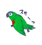 コミドリコンゴウインコの日常（個別スタンプ：38）