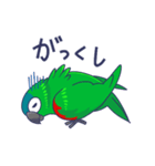 コミドリコンゴウインコの日常（個別スタンプ：40）