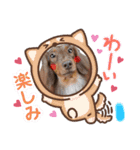 はなちゃん by晩ママ（個別スタンプ：5）
