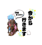 はなちゃん by晩ママ（個別スタンプ：6）