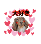 はなちゃん by晩ママ（個別スタンプ：10）