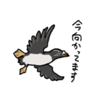 北の方から(文字あり)（個別スタンプ：3）