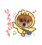 ポメりおちゃんのスタンプ（個別スタンプ：1）