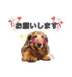タスケくん by晩ママ（個別スタンプ：11）