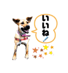 ハイ。小春です。（個別スタンプ：2）