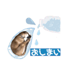 ハイ。小春です。（個別スタンプ：8）