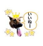 ハイ。小春です。（個別スタンプ：10）
