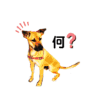 ハイ。小春です。（個別スタンプ：12）