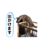 ハイ。小春です。（個別スタンプ：13）