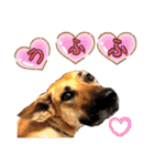 ハイ。小春です。（個別スタンプ：23）