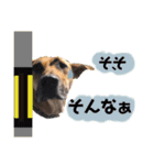 ハイ。小春です。（個別スタンプ：26）
