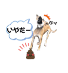 ハイ。小春です。（個別スタンプ：29）