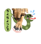 ハイ。小春です。（個別スタンプ：37）