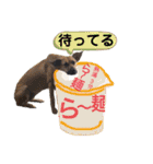 ハイ。小春です。（個別スタンプ：39）