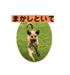 ハイ。小春です。（個別スタンプ：40）